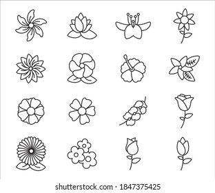 Simple Set of flower Related Vector icon graphic design template. Contains such Icons as rose, orchid, lotus, jasmine, hibiscus and more