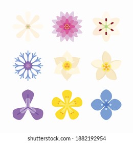 Einfache Set Blumen Vektorfarbensymbole. Farbe mit bearbeitbarem Hub