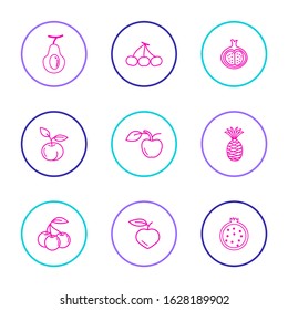 Simple set fruit icon vectors for website and mobile app icons