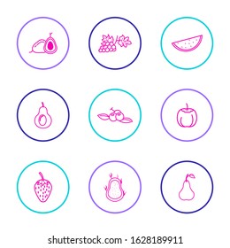 Simple set fruit icon vectors for website and mobile app icons