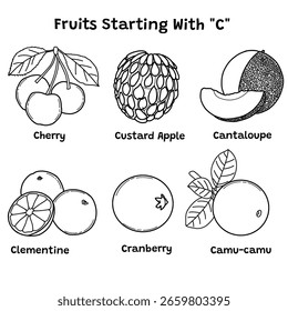 A simple set of fruits starting with "C", containing cherry, custard apple, cantaloupe, clementine, cranberry, and camu-camu. Vector illustration design template. Isolated on a white background.