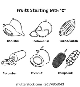 A simple set of fruits starting with "C", canistel, calamansi, cacao, cocoa, cucumber, coconut, cempedak. Vector illustration design template. Isolated on a white background.
