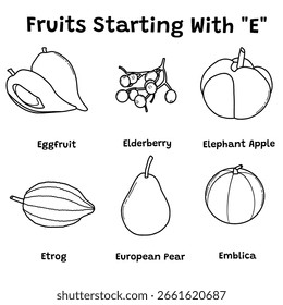 A simple set of fruits starting with "E". Eggfruit, elderberry, elephant apple, etrog, European pear, emblica. Vector illustration design template. Isolated on a white background.