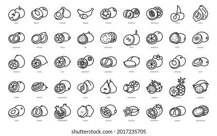 Simple Set of Fruits Vector outline Icons.