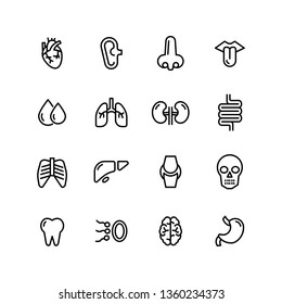 Simple Set Human Anatomy Related Line Stock Vector (Royalty Free ...