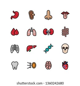 Simple set of human anatomy related filled outline icons