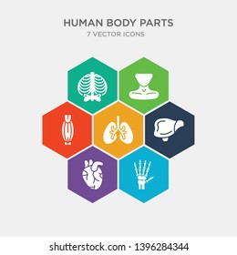 simple set of human hand bones, human heart, human liver, lungs icons, contains such as icons muscle, neck, ribs and more. 64x64 pixel perfect. infographics vector
