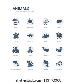 simple set of icons such as centipede, zander, baboon, dolphin jumping, squirrel, lemur, squid, ladybug, spider, dove. related animals icons collection. editable 64x64 pixel perfect.