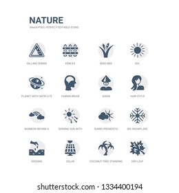 simple set of icons such as dry leaf, coconut tree standing, solar, seeding, big snowflake, sunny pronostic, shining sun with rays, rainbow behind a cloud, hair style, asian. related nature icons