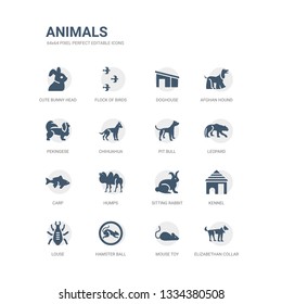 simple set of icons such as elizabethan collar, mouse toy, hamster ball, louse, kennel, sitting rabbit, humps, carp, leopard, pit bull. related animals icons collection. editable 64x64 pixel
