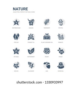 simple set of icons such as nymphea, oak, oleander, orchid, pansy, peony, peppermint, petunia, pinnate, plant growing on book. related nature icons collection. editable 64x64 pixel perfect.