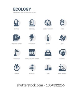 simple set of icons such as wind energy, dam, ecology, power, eco fuel, eco bag, hydroelectric power station, windsock, eco, seeds. related ecology icons collection. editable 64x64 pixel perfect.