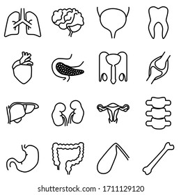 Simple set of internal human organs. Line vector icons. Human organ signs or body parts symbols.