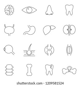Simple Set of Internal Organs Related Vector Line Icons. Contains such Icons as Reproductive System, Brain, Heart, Blood Vessel and more. Flat design