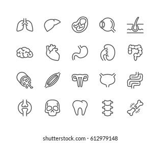 Simple Set of Internal Organs Related Vector Line Icons.
Contains such Icons as Reproductive System, Brain, Heart, Blood Vessel and more.
Editable Stroke. 48x48 Pixel Perfect. Simple Set of Internal Organs Related Vector Line Icons.
Contains such Icons as Reproductive System, Brain, Heart, Blood Vessel and more.
Editable Stroke. 48x48 Pixel Perfect.