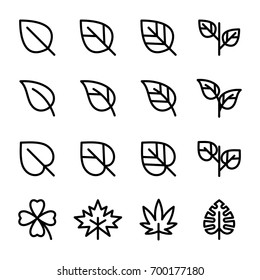 Simple Set of Leaf Related Vector Icons