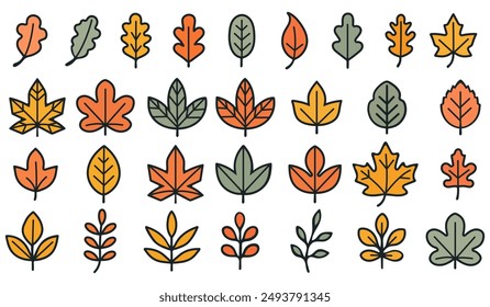 A simple set of leaves. An autumn set of cute and cozy hand-drawn design elements. Autumn, Thanksgiving, autumn season.