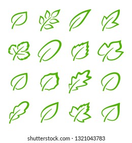 Simple set of linear green leaves vector icons. Contains such vector icons as oak leaf, currant leaf, strawberry leaf, ash leaf and others