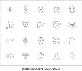 Simple Set of organ and human anatomy Related Vector Line Icons.
Vector collection of medical, heart, liver, brain, bones, lung, kidney, bladder, eye, tooth and design elements symbols or logo element