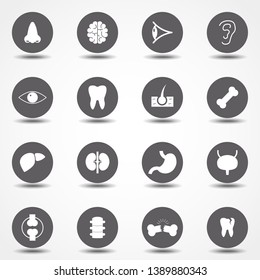 Simple Set of Organs Related Vector Icons for Your Design.