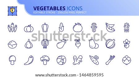 Simple set of outline icons about vegetables. Healthy food. Editable stroke. Vector - 256x256 pixel perfect.