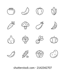 Simple set of outline minimalistic icons of vegetable for mobile concepts and web apps. Collection modern infographic logo. Vector flat illustration