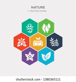 simple set of peppermint, petunia, pinnate, plant growing on book icons, contains such as icons poinsettia, poplar, protea and more. 64x64 pixel perfect. infographics vector