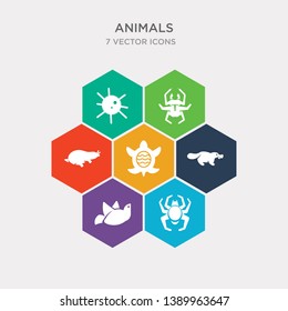 simple set of spider, dove, platypus, turtle icons, contains such as icons mole, beetle, sea urchin and more. 64x64 pixel perfect. infographics vector