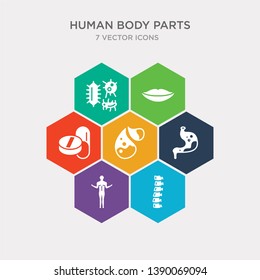 simple set of spine bone, standing human body, stomach with liquids, sweat or tear drop icons, contains such as icons tablet and capsule medications, thin lips, three bacteria and more. 64x64 pixel