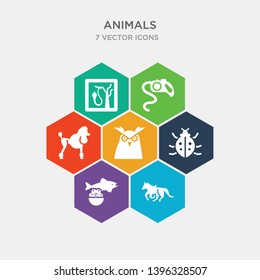 simple set of trapeze artists, caviar, app bug, big eyes owl icons, contains such as icons poodle, leash, herpetarium and more. 64x64 pixel perfect. infographics vector