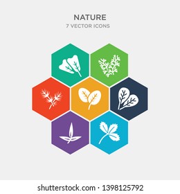 simple set of trifoliate ternate, subulate, obovate, orbicular icons, contains such as icons fasciculate, escuamiforme, obcordate and more. 64x64 pixel perfect. infographics vector