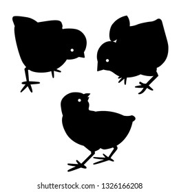 simple set vector illustration of chick icon for web