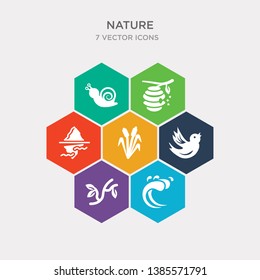 simple set of waves, branch, bird, reed icons, contains such as icons iceberg, hive, snail and more. 64x64 pixel perfect. infographics vector