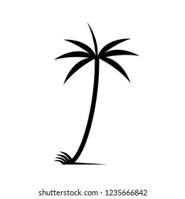 Simple shape coconut tree on white background