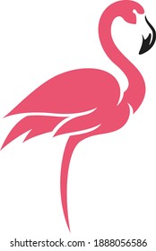 Forma simple de flamenco rosado sobre una pierna