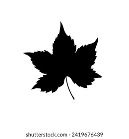 Simple silhouette of a maple leaf isolated on a white background. Drawn by hand.