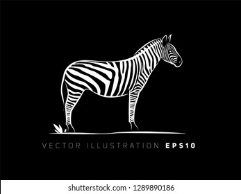 simple silhouette outline zebra animal