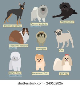 Simple silhouettes of dogs. Types of mini-dogs in flat design