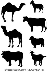 simple silhouettes of sacrificial animals, goats, sheep, cows and camels