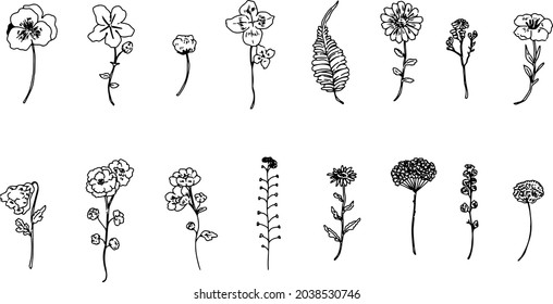 A simple single flower or leaf