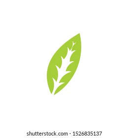 simple single leaf geometric logo vector