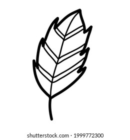 simple single leaf vector illustration icon design template with doodle hand drawn outline style