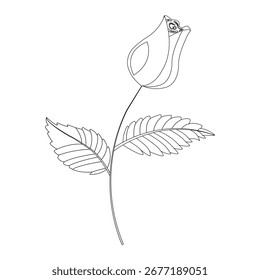 Simple single rose in doodle style. Vector illustration isolated on white background.