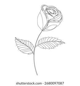Simple single rose in doodle style. Vector illustration isolated on white background.