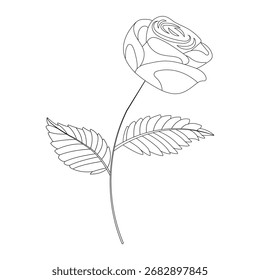 Simple single rose in doodle style. Vector illustration isolated on white background.