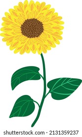 A simple single sunflower bloom vector clip art