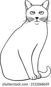 Simple sitting cat. Pet kitten. vector illustration