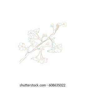 Simple sketch of blooming tree branch
vector outline illustration