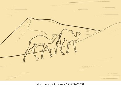 A simple sketch of camels in the desert. Freehand sketch of two camels. Vector.