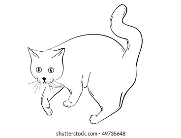 Simple sketch of cat on the white.